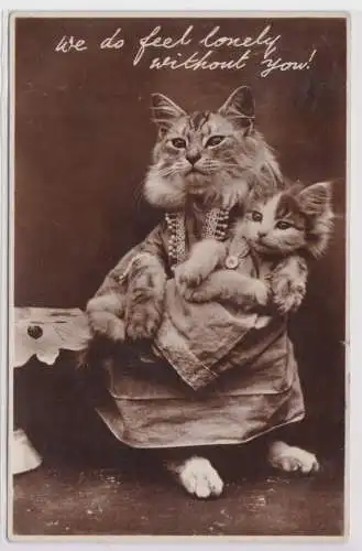 46175 Humor Ak Katze in Kleid mit kleinem Kätzchen 1938
