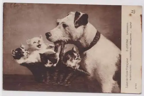 901909 Ak Foxterrier trägt Korb mit 4 süßen Kätzchen 1918