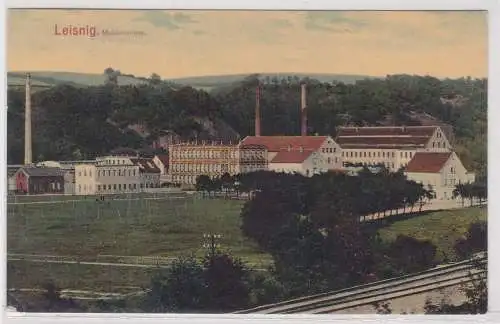 902998 AK Leisnig - Muldenwiese, Totalansicht