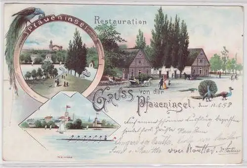 71348 AK Gruss von der Pfaueninsel - Restauration, Wannsee, Totalansicht 1898