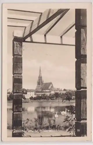 903766 Foto Ak Demmin i. Pommern - Am Schwanenteich um 1930