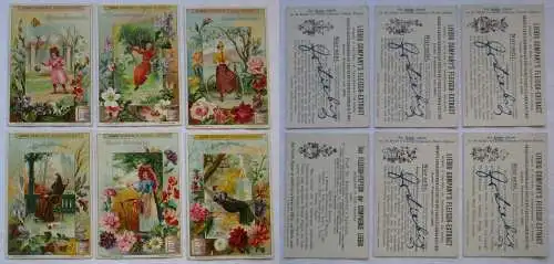 Liebigbilder Serie Nr. 484 Blumen-Jahreslauf 1901 (6/165858)