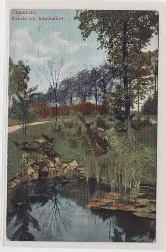 904947 AK Chemnitz - Partie im Küchwald, Parkpartie