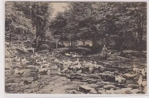 903648 Ak Finsterbergen Thüringer Wald Gänseliesel im Leinatal 1918