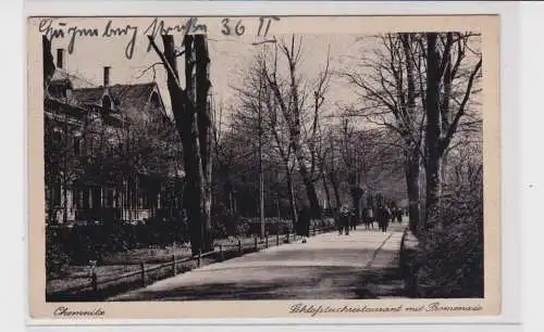 905038 AK Chemnitz - Schloßteichrataurant mit Promenade und Allee