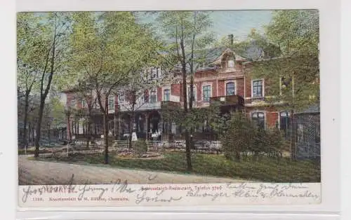 905029 AK Chemnitz - Schlossteich-Restaurant, Straßenansicht mit Allee 1909