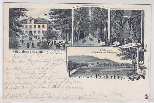 42454 AK Gruss von der Paschenburg - Meneckerloch, Allee, Restauration 1902