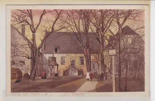 01024 Ak Gruss aus Rheine i. W. - Falkenhof 1913