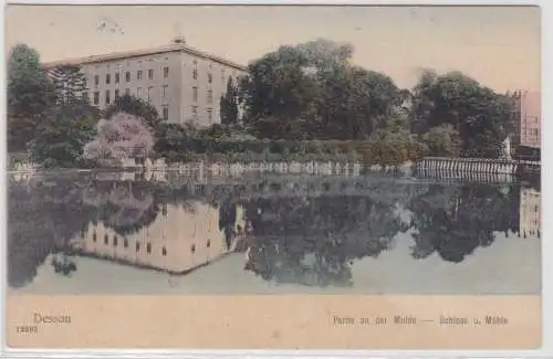 31282 Ak Dessau Partie an der Mulde Schloß und Mühle 1908