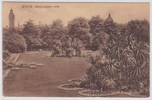 901407 Ak Leipzig - Partie im König-Albert-Park 1913