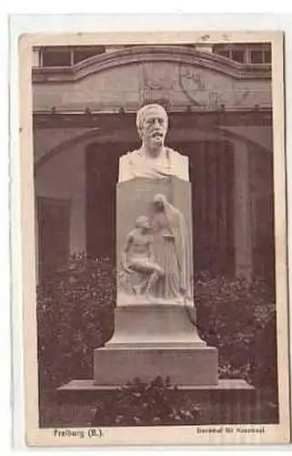 36029 Ak Freiburg (B.) Denkmal für Kussmaul 1915