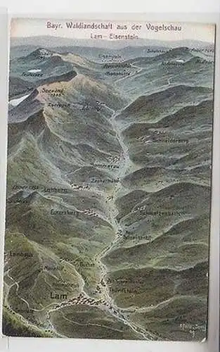 66277 Ak Lam Eisenstein Bayr. Waldlandschaft aus der Vogelschau um 1910