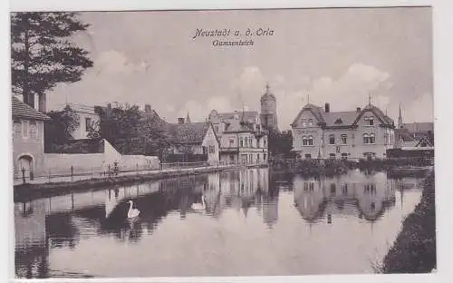 61786 AK Neustadt an der Orla - Gamsenteich, Café Klemm 1916