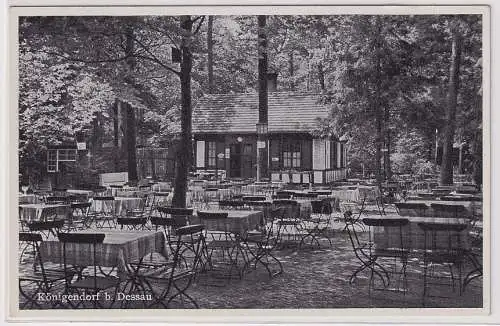 72128 Ak Jagdschloß Königendorf bei Dessau Mosigkauer Heide um 1950