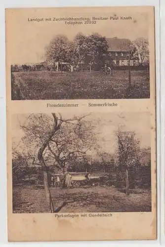 70974 Mehrbild Ak Neukirchen bei Chemnitz Landgut mit Zuchtviehhandlung um 1920