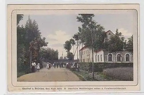 64740 Ak Gasthof z. Brünlas neben der Forellenzuchtanstalt 1917