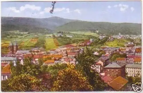 20773 Ak Neustadt an der Haardt Panorama 1929