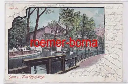 77127 Ak Gruss aus Bad Lippspringe Lippe-Quelle 1902