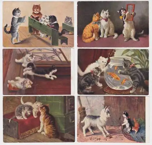 62007/6 hübsche Ak mit Katzen Motiven um 1910