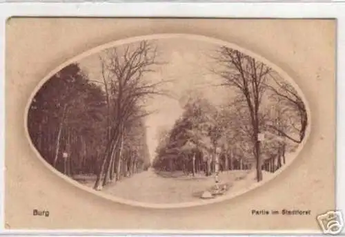 09288 Ak Burg Partie im Stadtforst 1921