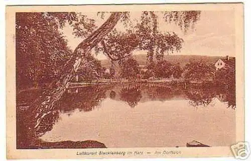 08237 Ak Stecklenburg im Harz am Dorfteich 1924