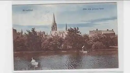 39354 Ak Bitterfeld Blick vom grossen Teich 1911