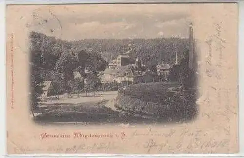 49896 Ak Gruß aus Mägdesprung im Harz 1900