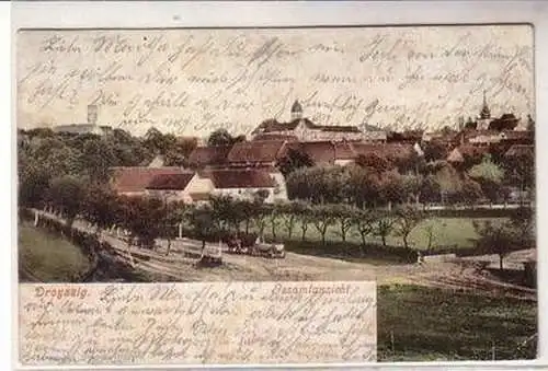 56578 Ak Droyssig Gesamtansicht 1906