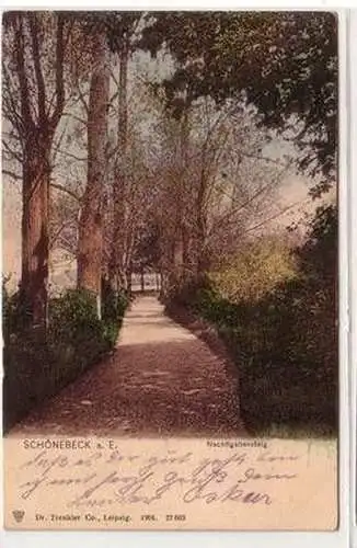55860 Ak Schönebeck an der Elbe Nachtigallensteig 1906
