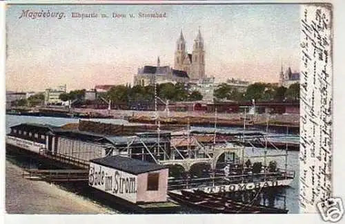 31371 Ak Magdeburg Elbe mit Bade im Strom um 1905