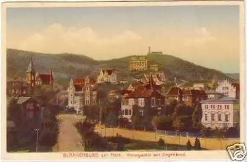 28434 Ak Blankenburg Villenpartie mit Ziegenkopf 1925