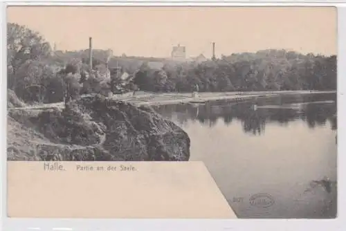 95742 Ak Haale Partie an der Saale um 1900
