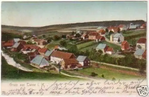 19856 Ak Gruß aus Tanne i.H. Totalansicht 1905