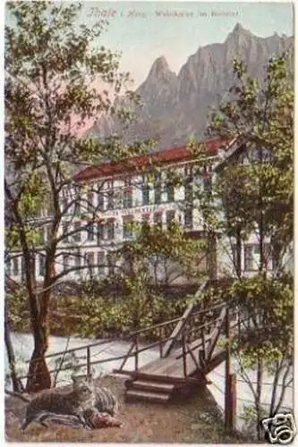 19814 Ak Tahle im Harz Waldkater im Bodetal 1915