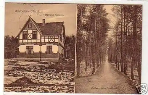 32495 Mehrbild Ak Osterwieck (Harz) Forsthaus 1911