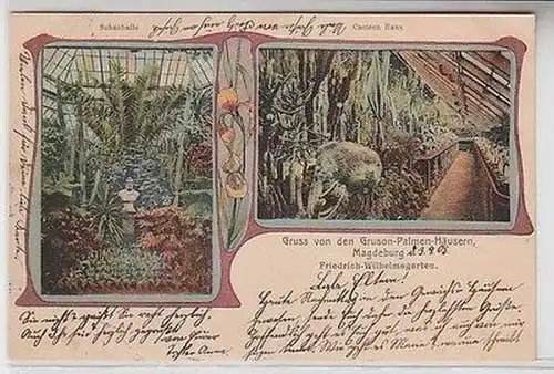 63933 Ak Gruß von den Gruson Palmen Häusern Magdeburg 1905