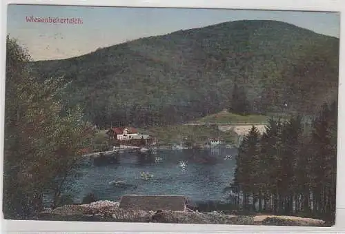 68369 Ak Wiesenbekerteich im Harz 1913