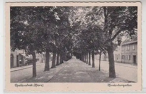 62497 Ak Ballenstadt (Harz) Hindenburgallee um 1940