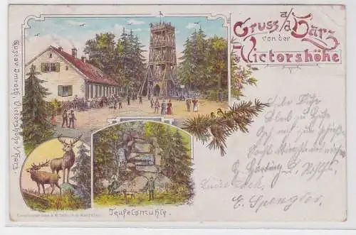 24891 AK Gruss aus dem Harz von der Victorshöhe - Teufelsmühle & Turm 1898