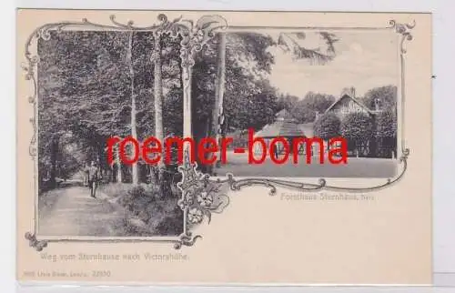 81252 Ak Forsthaus Sternhaus Harz, Weg vom Sternhause nach Victorshöhe