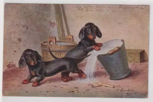 77712 Künstler Ak Dackel kippen Wassereimer um, S. Sperlich 1909