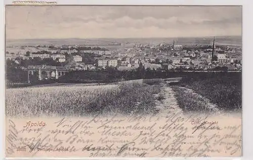 83934 Ak Apolda Total-Ansicht 1903