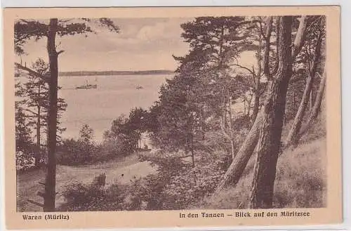 86535 Ak Waren (Müritz) In den Tannen - Blick auf den Müritzsee um 1920