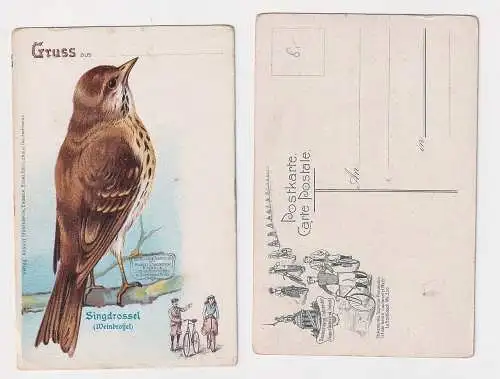 63898 Reklame Ak Stukenbrok Fahrräder Einbeck mit Motiv Singdrossel um 1910