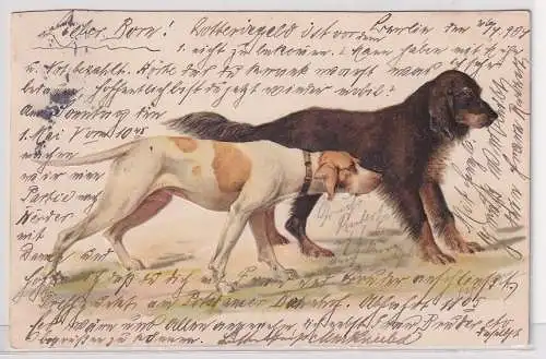 46795 geprägte Künstler Ak 2 Jagdhunde 1904