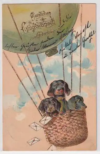 20701 geprägte Ak Glückwunsch zum Geburtstag 3 Dackel im Heißluftballon 1905