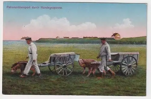 01084 Feldpost AK Patronentransport durch Hundegespanne Serie "Unsere Marine"