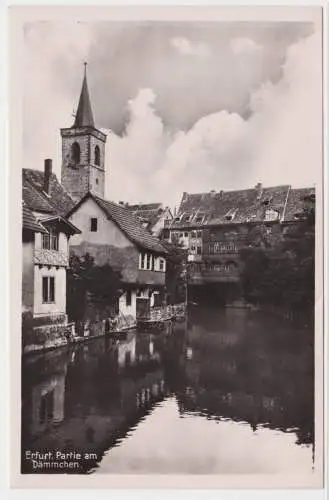 30111 Ak Erfurt Partie am Dämmchen 1948