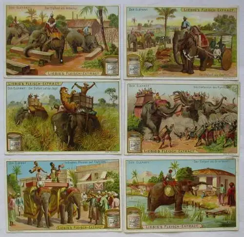 Liebigbilder Serie 527 Der Elefant, komplett 1902 (6/112831)
