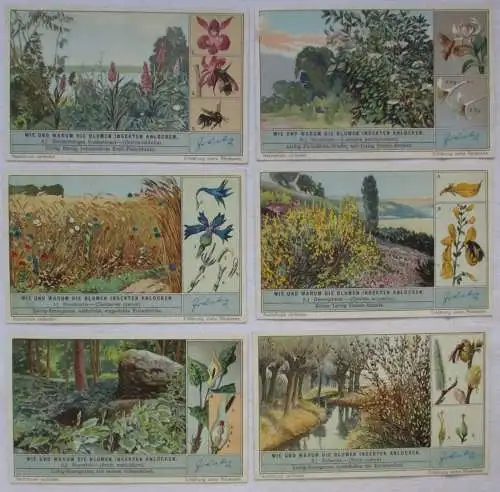 Liebigbilder Serie 1049 Wie und warum die Blumen Ins. komplett 1934 (6/106670)